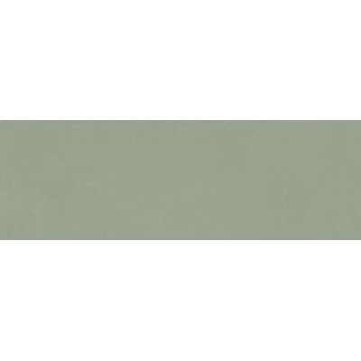 EBS Gravity 40 x 120 cm sage matná 2,4m²