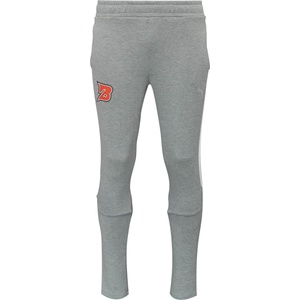 PUMA Teamevostripe pants сиво, червено xl (65994833-pce)