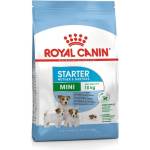 Royal Canin Mini Starter - за кучета от дребни породи до 10месеца, за бременни и кърмещи кучета 1кг