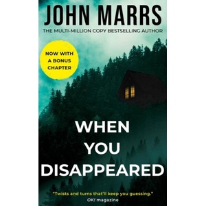 When You Disappeared (ISBN: 9781662533327)