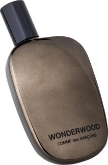 Comme des Garcons Wonderwood parfumovaná voda pánska 50 ml od 114