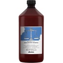Davines NATURALTECH Rebalancing šampon pro pokožku s nadměrnou tvorbou mazu 1000 ml