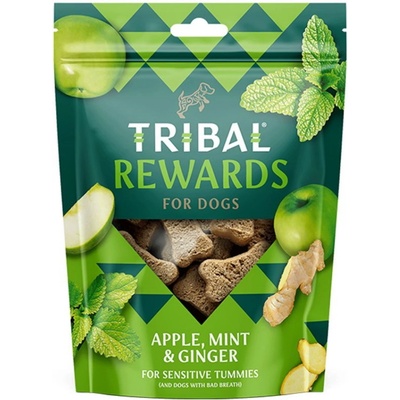 Tribal Rewards Apple Mint & Ginger 125 g