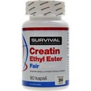Kreatín Survival Creatin Ethyl Ester Fair Power 90 kapsúl
