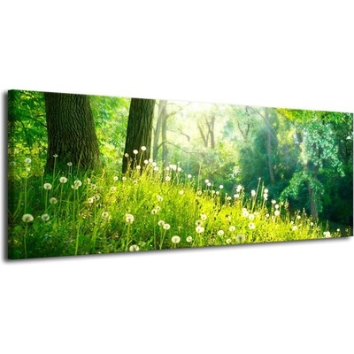 Obraz na plátně-Jarní louka plátno 1 100x40