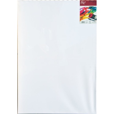 canvas Malířské plátno, 100 × 70 cm – Sleviste.cz