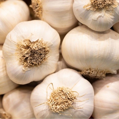 Česnek sadbový Dukát 7 - 14 ks, cca 500 g