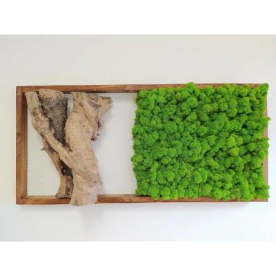 Mechový obraz s exkluzivním dřevem 40cm x 85cm