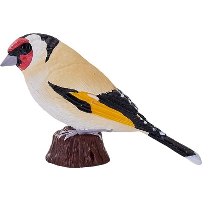 Mojo Stehlík obyčajný