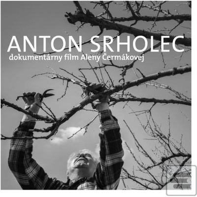 Anton Srholec Cesta, po ktorej som išiel - Anton Srholec
