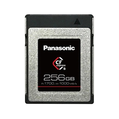 Panasonic 256GB RP-CFEX256