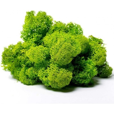 Luxusný stabilizovaný mach sobí čistený 0,5 kg, jablčne zelený