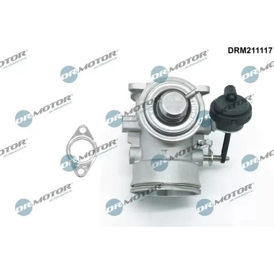 Dr.Motor Automotive AGR ventil DMA DRM211117