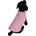 PAPILLON KABAT