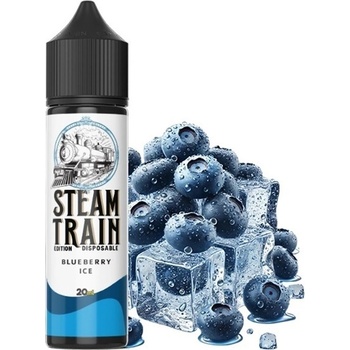 Steam Train Disposable Edition Blueberry Ice 20ml/60ml
