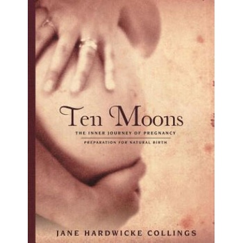 Image 1 of Ten Moons | Jane Hardwicke Collings