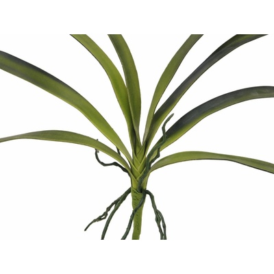 Orchidej listy, zelené, 45 cm