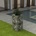 vidaXL Gabion 50x50x100 cm 142557