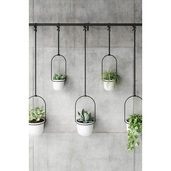 Umbra Комплект стенни саксии (5 броя) (1018086.660)