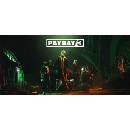 PayDay 3 (Silver Edition)