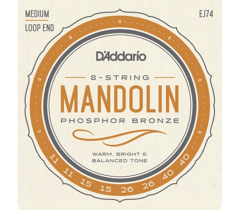 D'addario EJ74