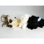 Dubi *AST. PLUSH cat, 30 cm, persian, 4 col