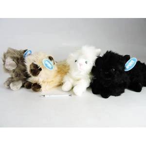 Dubi *AST. PLUSH cat, 30 cm, persian, 4 col
