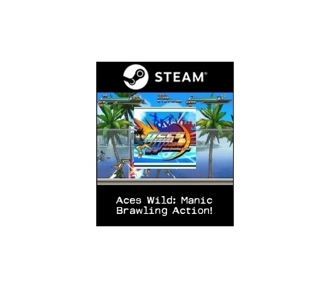 Aces Wild: Manic Brawling Action!