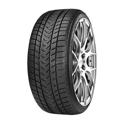 Gripmax Status Pro Winter 255/45 R19 104V