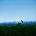 Duke Dumont - Union (LP) (0602478362545)