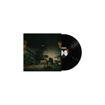 Plot In You - Plot In You Vinyl LP