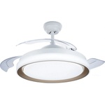 Philips P6219