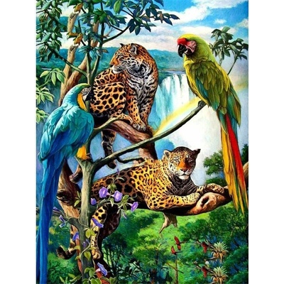 Norimpex Diamantové maľovanie Papagáje a leopardy 30 x 40 cm