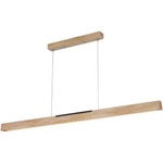 NEDES WRL0221