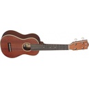 Stagg US80-S