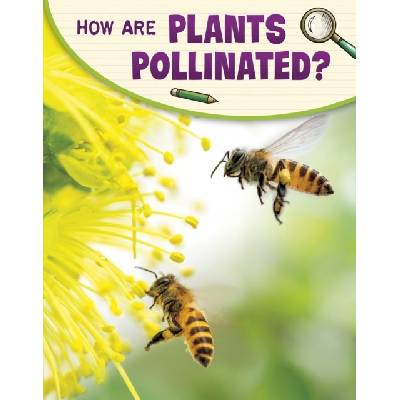 How Are Plants Pollinated?