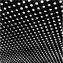 Beach House Bloom (VINYL)
