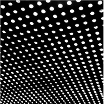 Beach House Bloom (VINYL)