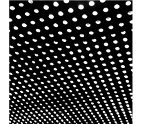 Beach House Bloom (VINYL)
