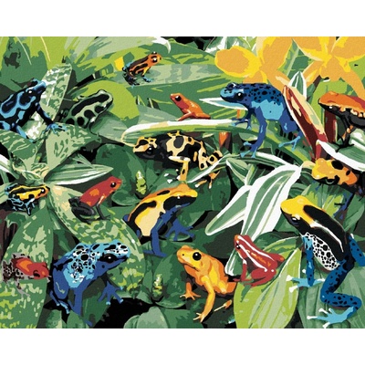 Zuty Malování podle čísel Barevné žáby Howard Robinson 80 x 100 cm bez rámu a bez vypnutí plátna 8596530060949
