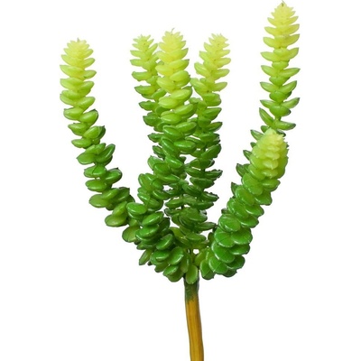 SUCULENT SEDUM BURRITO 25CM