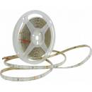 ECOLIGHT EC79712