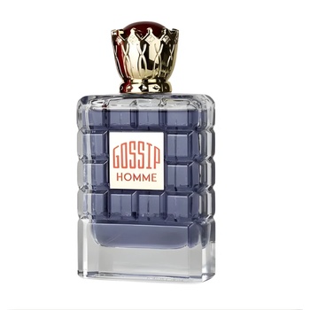 My Perfumes Gossip Homme EDP 100 ml