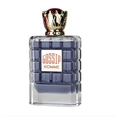 My Perfumes Gossip Homme EDP 100 ml