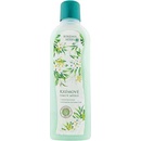 Bohemia Cosmetics krémové tekuté mydlo mléko + zelený čaj 1 l