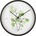 Karlsson Стенен часовник Botanical Eucalyptus (KA5884)