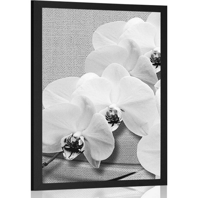 Plakát orchidej na plátně v černobílém provedení - 40x60 no frame
