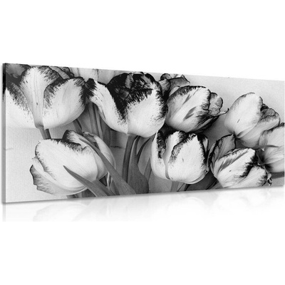 Obraz tulipány v jarním nádechu v černobílém provedení - 120x60