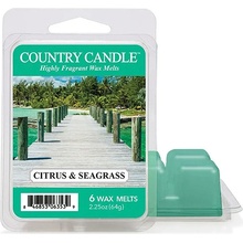 Country Candle vosk do aroma lampy Cilantro Citrus & Seagrass 64 g