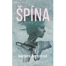 Špína